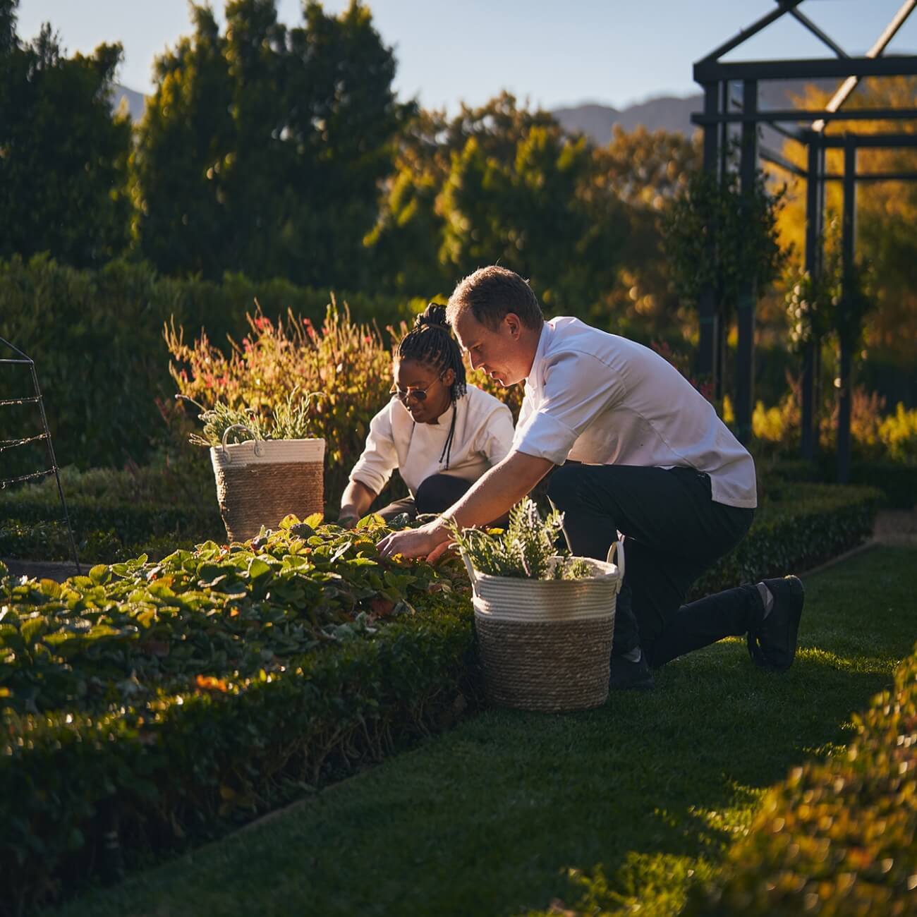 Leeu Collection SA Seasonal Menu